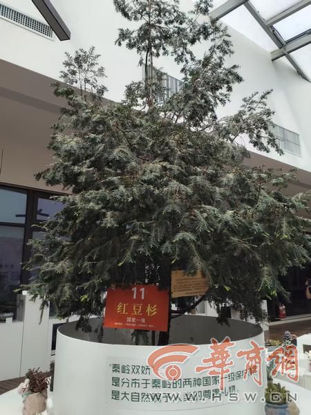 配资网站首页 配资 打造生态样本、推进乡村振兴、赋能特色产业、发展智能制造……10余家媒体齐聚周至 探寻高质量发展新脉动