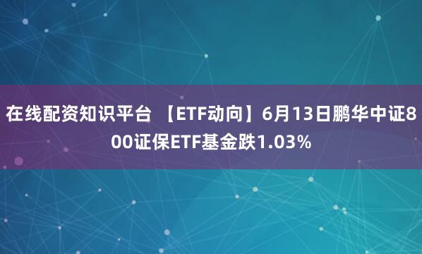 在线配资知识平台 【ETF动向】6月13日鹏华中证800证保ETF基金跌1.03%