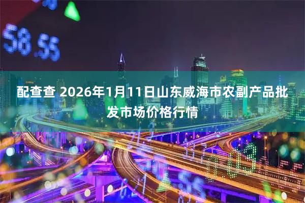 配查查 2026年1月11日山东威海市农副产品批发市场价格行情