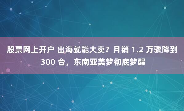 股票网上开户 出海就能大卖？月销 1.2 万骤降到 300 台，东南亚美梦彻底梦醒